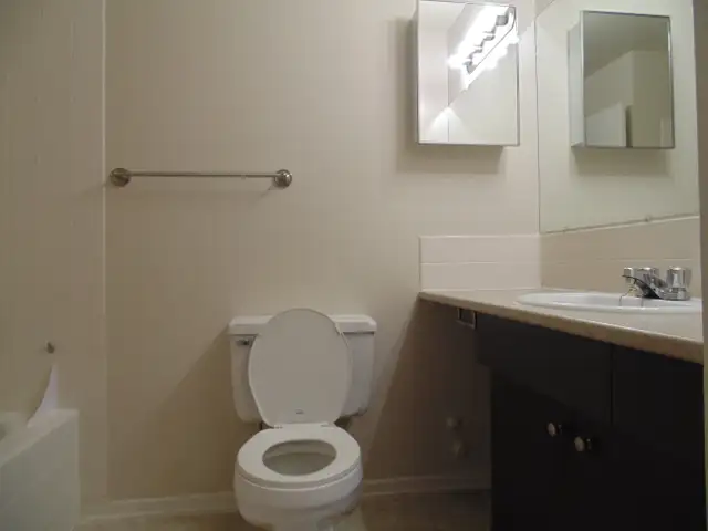 Chelsea Place  - 1 bedroom for May in Long Term Rentals in Winnipeg - Image 8