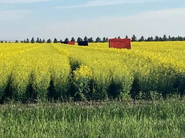 Farm Labour in General Labour in Lethbridge - Image 3