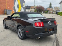 Sun out, top down, and summer calling your name. This 2012 Ford Mustang Club of America Premium V6 C... (image 5)