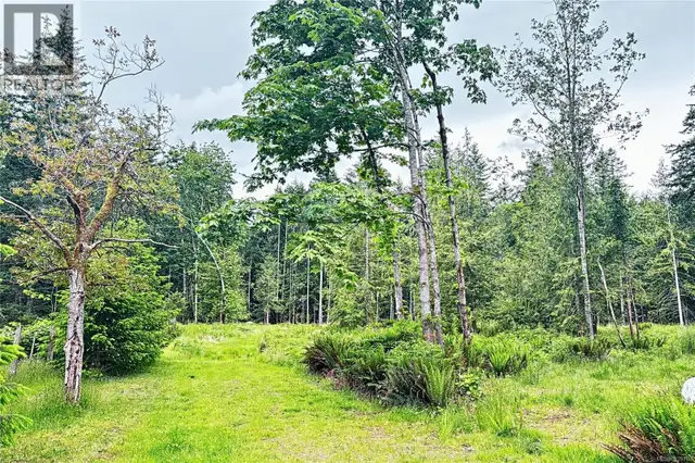 Lot B Island Hwy W Bowser, British Columbia in Land for Sale in Victoria - Image 6