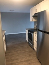 Renovated 2 Bed x 1 Bath Apartment for Rent  | $1667