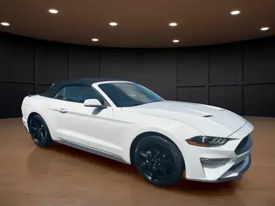 Price includes $1,000 finance credit. Price does not include fees or taxes. The 2020 Ford Mustang Ec...