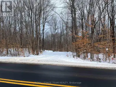 Majestic and picturesque 1.76 acres lot. Well treed, level and very private. Minutes from Bark Lake...