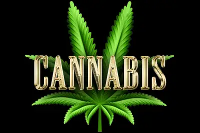 Profitable high volume cannabis store in desirable area. Very low rent and overall operating costs....