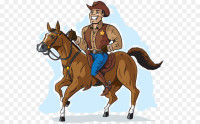 I am a amateur/novice horse rider looking to go horseback riding