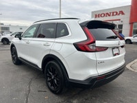 Harness dynamic performance and all-weather confidence with this exceptional Platinum White Pearl 20... (image 6)