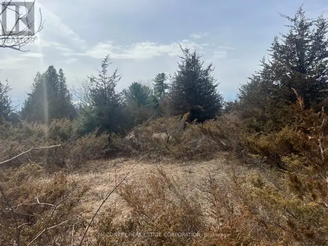 00 N. DUMMER 7TH LINE ROAD Douro-Dummer, Ontario in Land for Sale in Peterborough - Image 11
