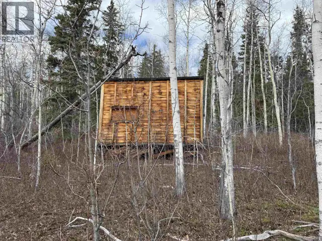 14035 COLLEYMOUNT ROAD Burns Lake, British Columbia in Land for Sale in Burns Lake - Image 9