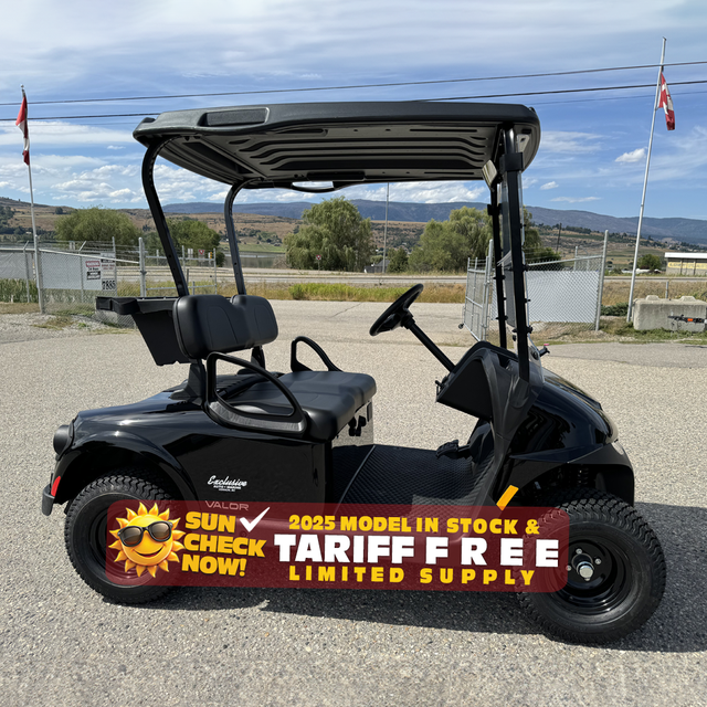 2025 EZGO Valor EX1 -Best Golf Cart,by Textron in ATVs in Vernon - Image 3