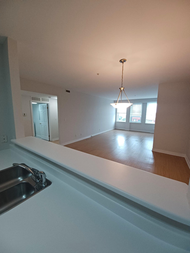 Downtown Moncton - 1 Bed unit, Available now, 4th floor !! in Long Term Rentals in Moncton - Image 2