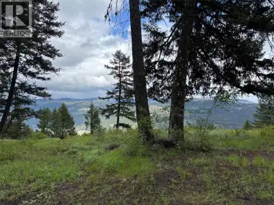 4 lots available. This is a great area to live. Building lot with NO zoning! Live in your rv, or bui...