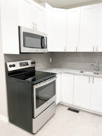 Ridgetown - Renovated 2 Bedroom Apt. For Rent Avail. July 1st!