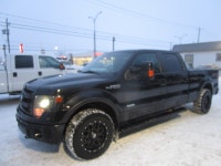 2014 Ford F-150 Vous vous souvenez de cette sensation d'accomplir des choses avec style? Ce Ford F-1... (image 8)