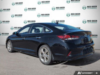 Blind Spot Monitor, Hands-Free Liftgate, Leather Seats, Sunroof, Android Auto / Apple CarPlay! This... (image 4)