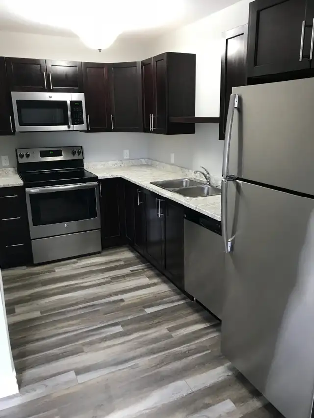 Beautiful 1 BDRM uptown-heat pump&dishwasher- Free rent! in Long Term Rentals in Fredericton - Image 3