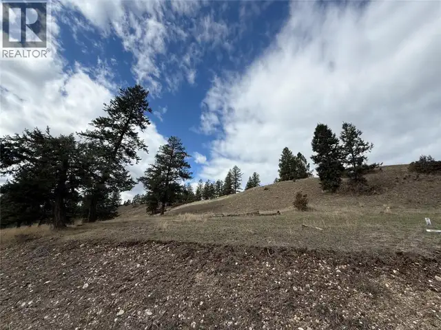 2400 KOOTENAY RD NO 3 Road Lot# 2 Windermere, British Columbia in Land for Sale in Cranbrook - Image 11