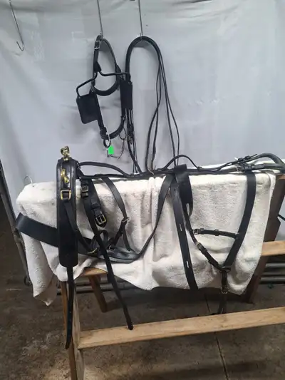 COB / PONY HARNESS, View more
