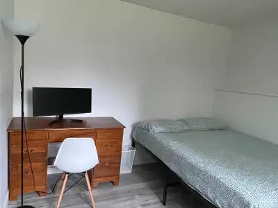 1 bedroom for rent in a house for a female • Shared kitchen • Living room and dining area on the mai...