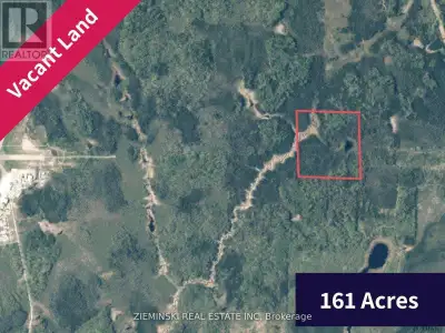 Own your own piece of Canadian wilderness! This 161-acre parcel comes with 40 year old timber. The s...