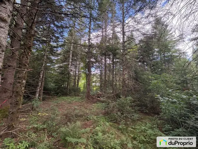 $110,000 - Price taxes not included - Residential Lot for sale in Land for Sale in Laurentides - Image 2