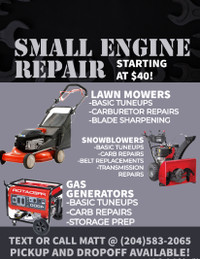 Small engine repair starting at $40! (elmwood area)