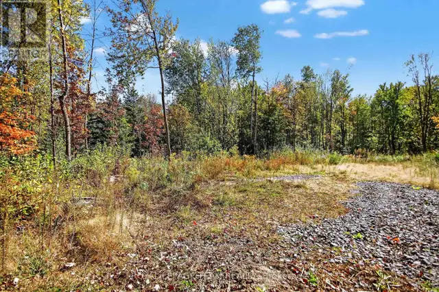 10586 SEIBERT ROAD South Dundas, Ontario in Land for Sale in Brockville - Image 4