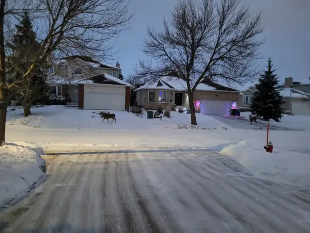 Snow Removal583293943950223366