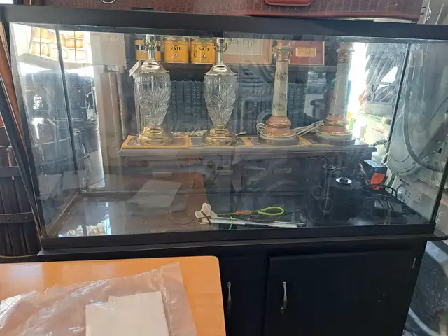 FISH TANK. AQUARIUM.62864745007489122