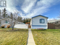 4439 59 Street Rocky Mountain House, Alberta Red Deer Alberta Preview