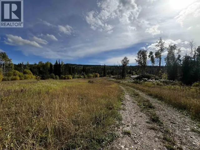 DL 2035 HIGHWAY 16 Fraser Lake, British Columbia in Land for Sale in Burns Lake - Image 21