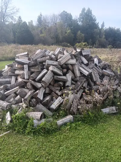 Split hardwood firewood, View more