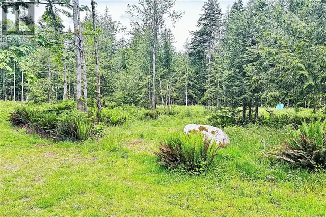 Lot B Island Hwy W Bowser, British Columbia in Land for Sale in Victoria - Image 14