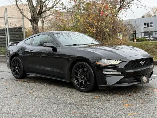2018 Ford Mustang ECOBOOST FASTBACK| Low KMs | All Black | No Ac in Cars & Trucks in Delta/Surrey/Langley - Image 4