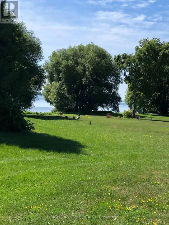 3786 TUPPY DRIVE Ramara, Ontario in Land for Sale in Barrie - Image 6
