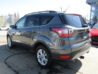 Thanks for viewing our South View Motors Inventory! 2017 FORD ESCAPE 4WD SE PKG + APPLE CARPLAY + NA... (image 7)