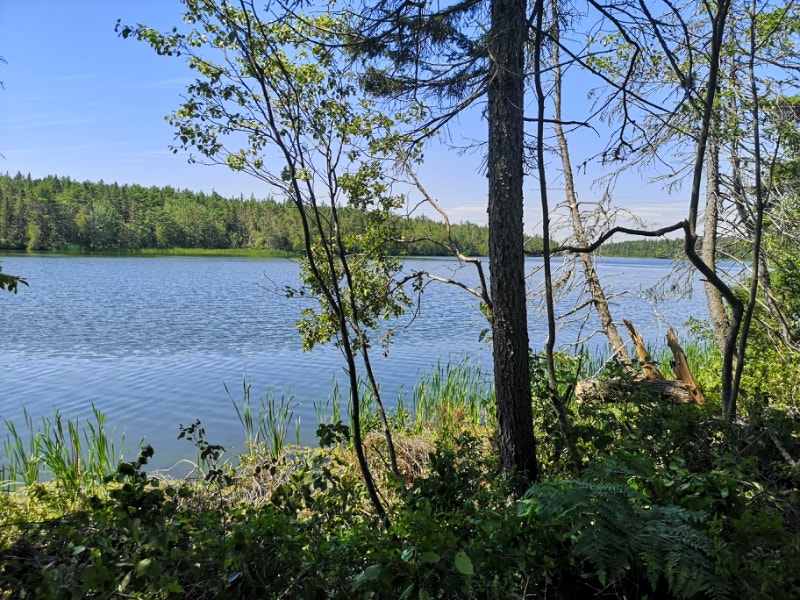 Waterfront Lot in Murray River. Land for Sale Charlottetown Kijiji