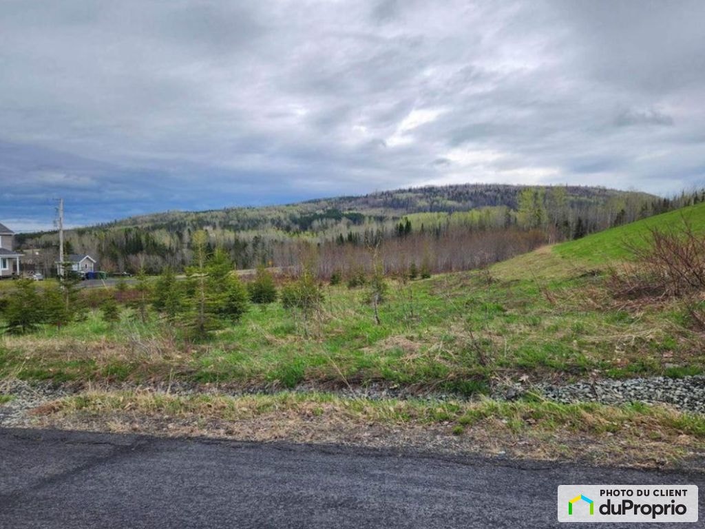 $30,000 - Residential Lot for sale in Lac-Au-Saumon — photo 2