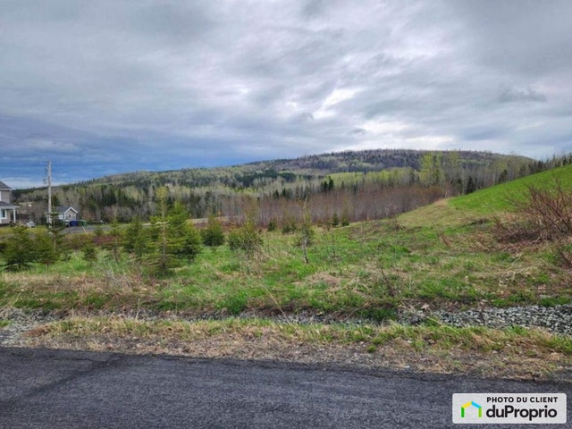$30,000 - Residential Lot for sale in Lac-Au-Saumon — photo 2