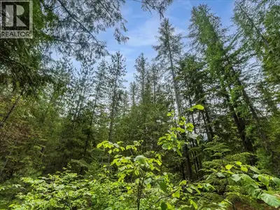 9.95 acres of peace and quiet. Are you looking for a place to build your dream home? Your private oa...