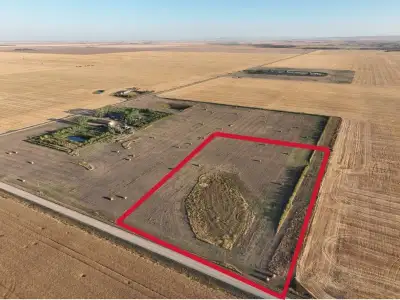 Looking for the perfect location to build your dream acreage? Complete with a caragana shelter belt...