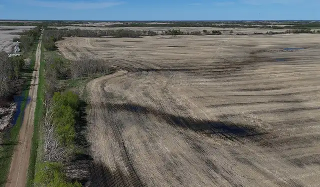 Productive Farmland | RM of Orkney # 244 | Near Willowbrook, SK in Land for Sale in Regina - Image 8