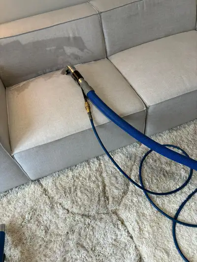 Starts from $60 - carpet, sofa shampoo, upholstery shampoo, View more