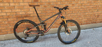 Trek Fuel EX custom XL Mtn bike 2020