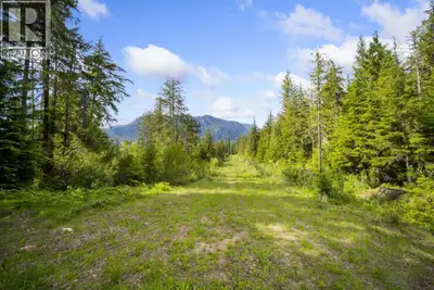 17 acre parcel offering a versatile opportunity! Whether you're envisioning a private estate, hobby...