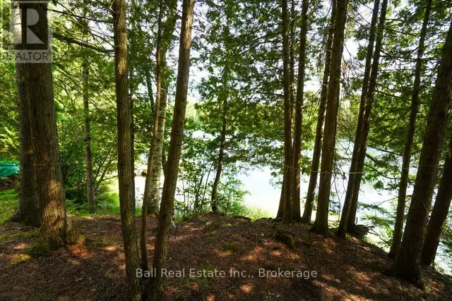 382 OLD DETLOR ROAD Bancroft (Dungannon Ward), Ontario in Land for Sale in Trenton - Image 37