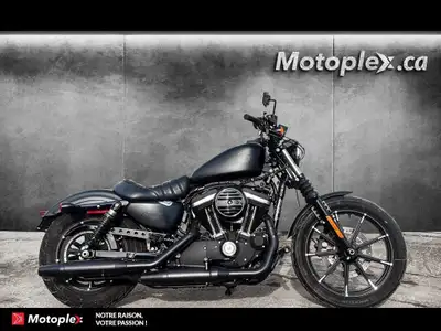 2019 HARLEY DAVIDSON Sportster XL883 Sportster XL883 GARANTIE PROLONGÉE jusqu'à 4 ans disponible et...