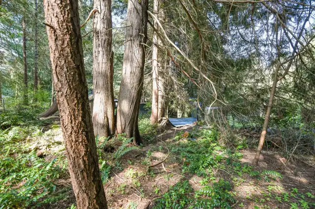 Rustic Cabin Nestled in the Woods on Bayne Drive in Houses for Sale in Comox / Courtenay / Cumberland - Image 10