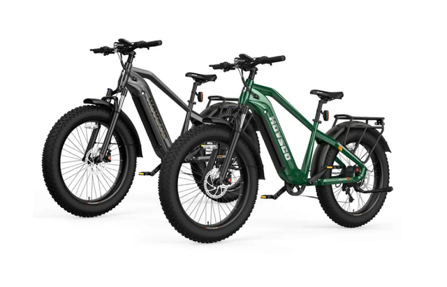 Hovsco Alpha Ebike 2 Bike Bundle Sale! Super Spring Savings in eBike in Moose Jaw - Image 2