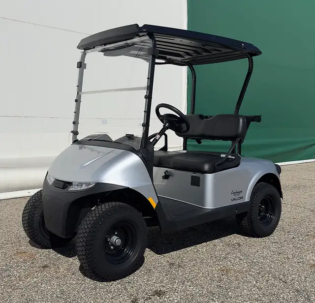 2026 E-Z-GO RXV 2 Valor S EX1-Platinum golf carts in ATVs in Vernon - Image 3