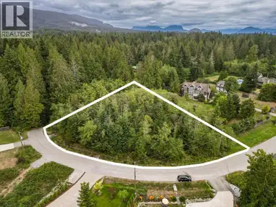 DREAM BIG! Incredible chance to secure a large, private, flat lot to build your dream home in paradi...